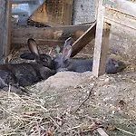 Wagnerhof アパート Aschau am Inn
