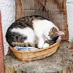 Wagnerhof Aschau am Inn