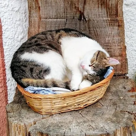 Wagnerhof Aschau am Inn
